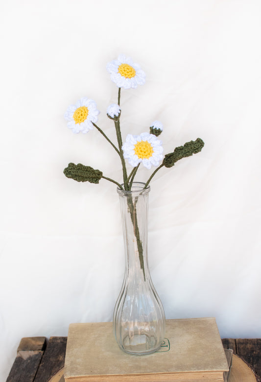 Small Daisy Bundle